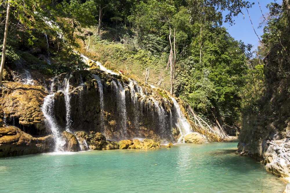 Orang-Utans, Nature, Culture & Relaxation in Indonesia